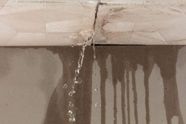 Professional Water Damage Repair technician working in Valley City, ND